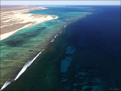 Ningaloo Reef  - WA (PBH3 00 7790)