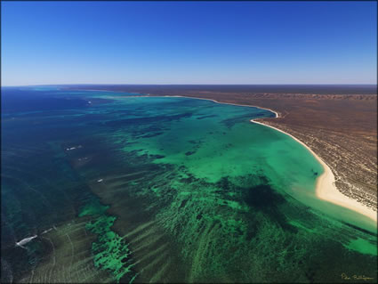 Ningaloo Reef - WA (PBH3 00 7791)