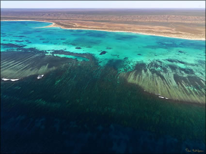 Ningaloo Reef - WA (PBH3 00 7795)