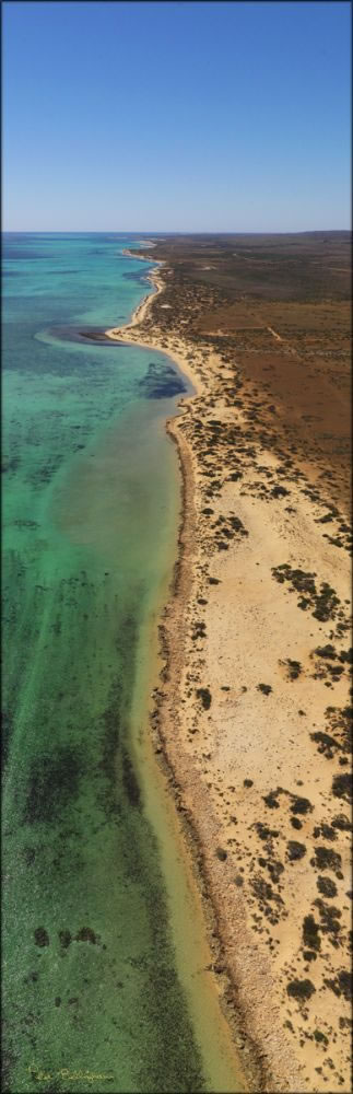 Ningaloo Reef  - WA (PBH3 00 7808)