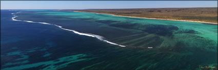 Ningaloo Reef  - WA (PBH3 00 7809)