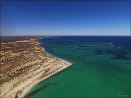 Coral Bay - WA SQ (PBH3 00 7740)