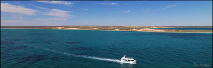 Coral Bay Ecotours - WA H (PBH3 00 7983)