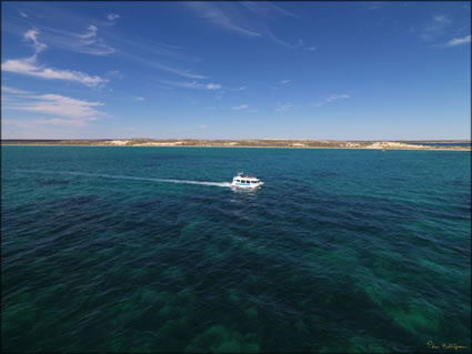 Coral Bay Ecotours - WA (PBH3 00 7980)