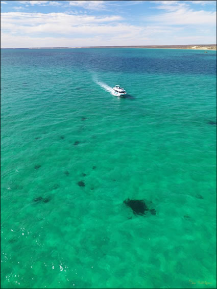 Coral Bay Ecotours - WA (PBH3 00 7988)