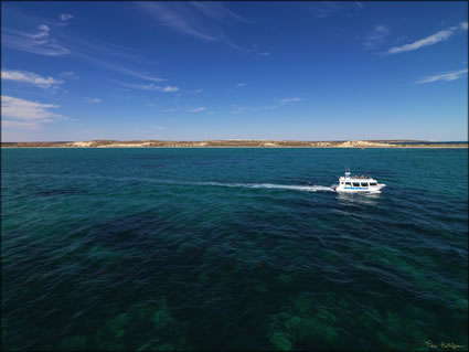 Coral Bay Ecotours - WA SQ (PBH3 00 7981)