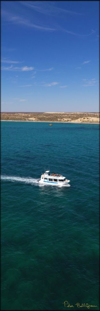 Coral Bay Ecotours - WA V (PBH3 00 7983)