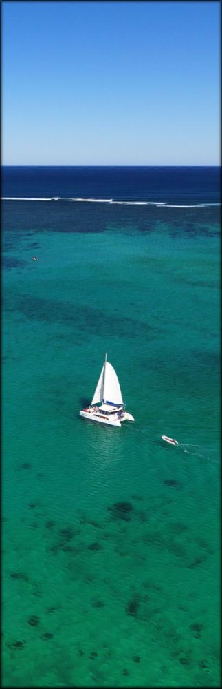 Coral Breeze - Coral Bay WA V (PBH3 7743)