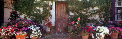 Coriole Cottage Garden - SA (PB00 3978)