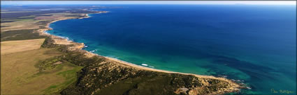 Daly Head - SA (PBH3 00 28559)