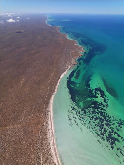 Dirk Hartog Island - Shark Bay - WA (PBH3 00 4899)