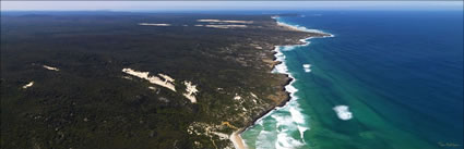 Dogerup - Windy Harbour - WA (PBH3 00 4259).