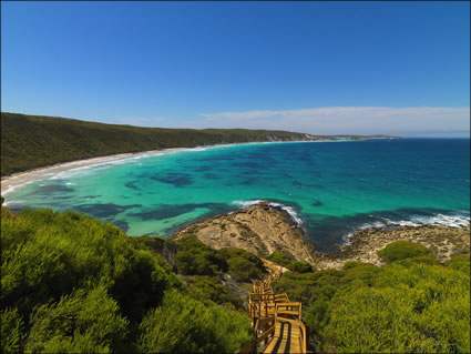 Dolphin Cove - Esperance - WA (PBH3 00 9800)