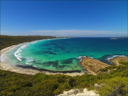 Dolphin Cove - Esperance - WA SQ (PBH3 00 0984)