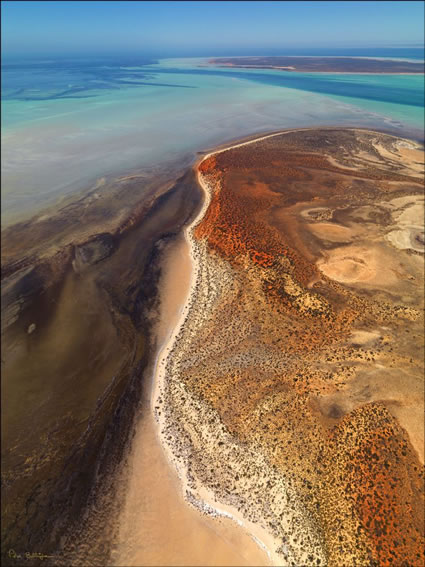 Dudaut Point - Shark Bay - WA (PBH3 00 4875)