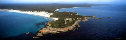 Eddystone Point - TAS (PB00 5175)