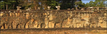 Elephant Terrace (PBH3 00 6651)