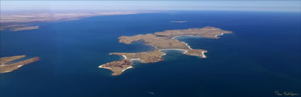 Enderby Island - Dampier - WA (PBH3 00 8356)