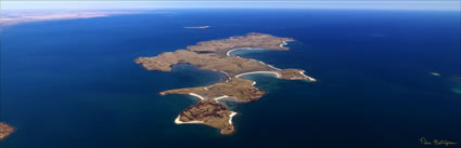 Enderby Island - Dampier - WA (PBH3 00 8357)