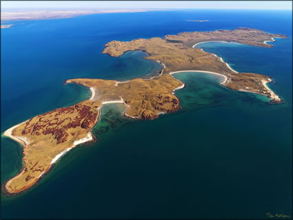 Enderby Island - Dampier - WA SQ (PBH3 00 8373)