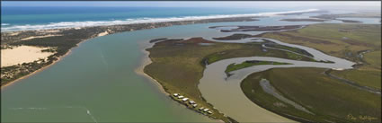 Ewe Island - Coorong NP - SA (PBH3 00 31214)