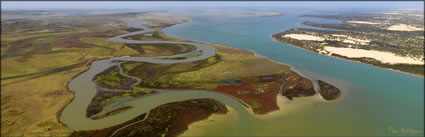 Ewe Island - Coorong NP - SA (PBH3 00 31215)