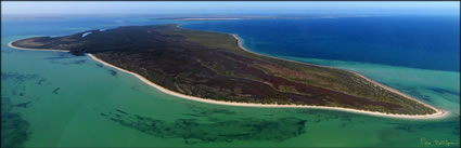 Eyre Island - SA (PBH3 00 28754)