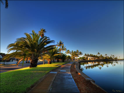 Fascine Palms - Carnarvon - WA SQ (PBH3 00 7638)