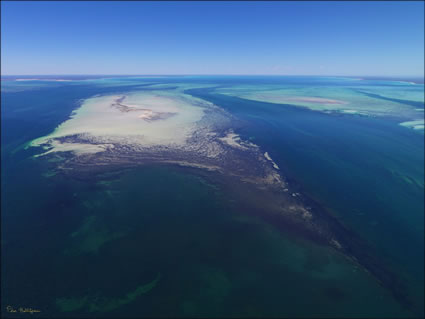 Faure Flats - Shark Bay - WA (PBH3 00 4860)