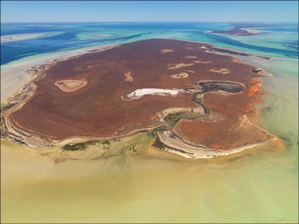 Faure Island - Shark Bay - WA (PBH3 00 4858)