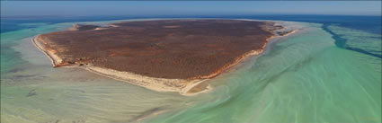 Faure Island - Shark Bay - WA (PBH3 00 4869)