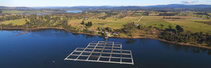 Fish Farm - TAS (PBH3 00 27990)