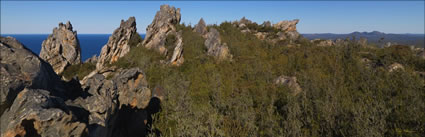 Fitzgerald River NP - WA (PBH3 00 3426)