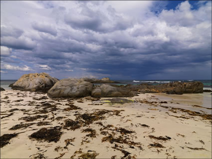 Fitzgerald River NP - WA (PBH3 00 4213)