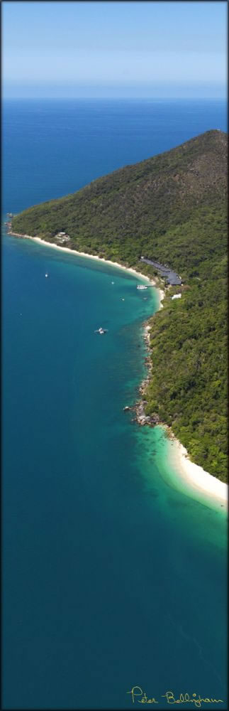 Fitzroy Island - QLD V (PBH3 00 13556)