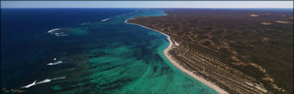 Reef - Ningaloo  - WA H (PBH3 00 7735)