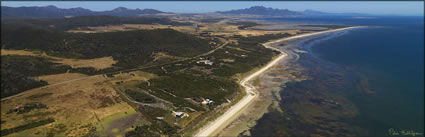 Flinders Island - TAS (PBH3 00 15433)