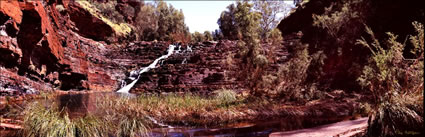 Fortescue Falls - WA (PB00 4188)