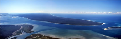 Fraser Island South - North - QLD (PB00 660)