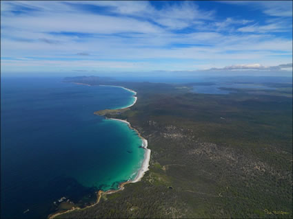 Friendly Beaches - TAS SQ (PBH3 00 1065)