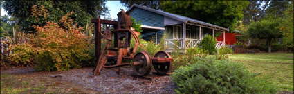 Garden Sculpture  - Jardee - WA (PBH3 00 7260)