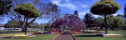 Garden at Toowoomba - QLD (PB00 3598)