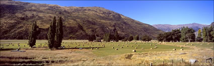 Gilston Valley  Hay Bales - NZ (PB002858)
