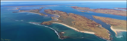 Gidley Island - Dampier - WA (PBH3 00 9630)