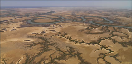 Gin Arm Creek - QLD T  (PBH3 00 12778)