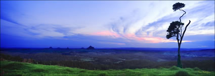 Glasshouse Sunset From Tree - QLD