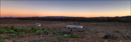 Glow - Beltana Station - SA (PBH3 00 18959)