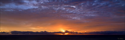 Goulet Bluff - Shark Bay - WA (PBH3 00 4962)