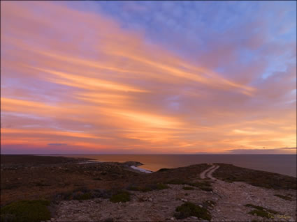 Goulet Bluff - Shark Bay - WA (PBH3 00 4970)