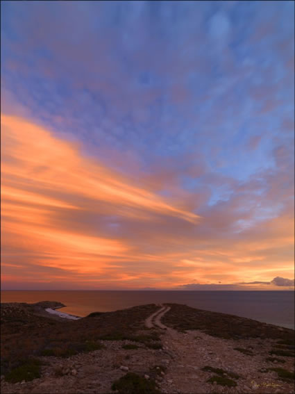 Goulet Bluff - Shark Bay - WA (PBH3 00 4971)